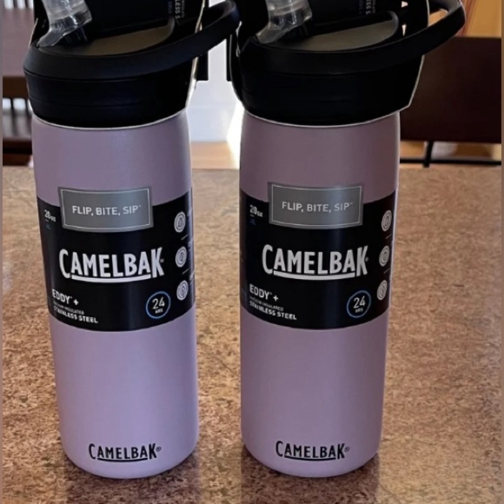 Set of 2!! Camelbak Stainless Steel Water bottles (color purple sky)